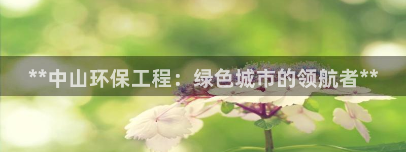 彩名堂人工计划客户端：**中山环保工