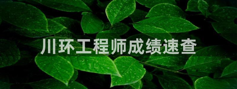 彩名堂免费计划亮点：川环工程师成绩速