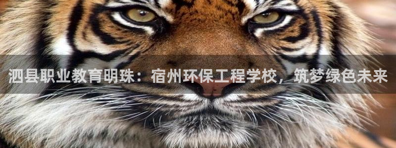 彩名堂人工预测免费计划：泗县职业教育