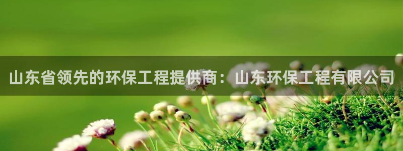 老版彩名堂：山东省领先的环保工程提供