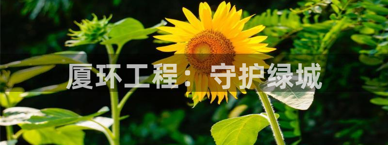 彩名堂为啥不准了乱变：厦环工程：守护