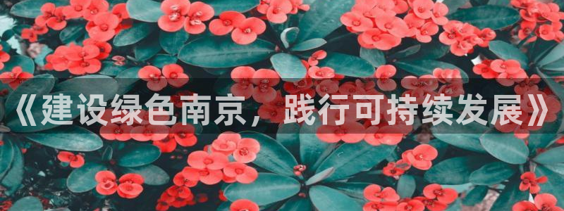 彩名堂移动客户端官网：《建设绿色南京
