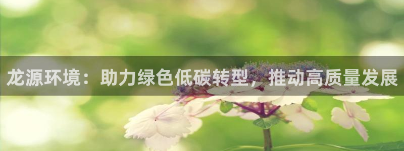 彩名堂手机版官网：龙源环境：助力绿色