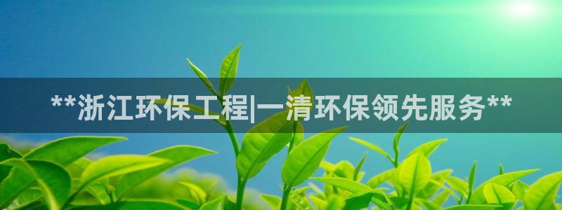 彩名堂：**浙江环保工程|一清环保领