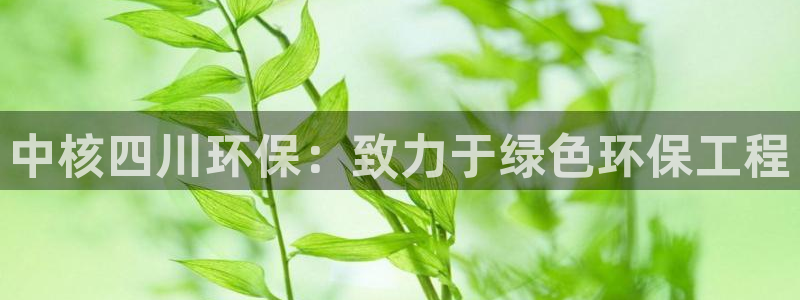 彩名堂计划怎么跟,为什么我一跟就挂：