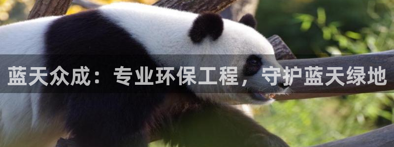 彩名堂人工计划客户端：蓝天众成：专业