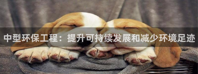 彩名堂官网计划怎么下载：中型环保工程