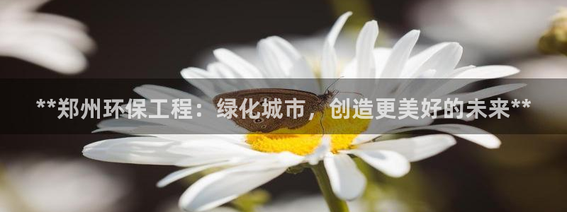 彩名堂跟哪种最好用：**郑州环保工程