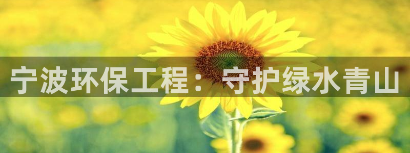 老版本彩名堂计划软件：宁波环保工程：