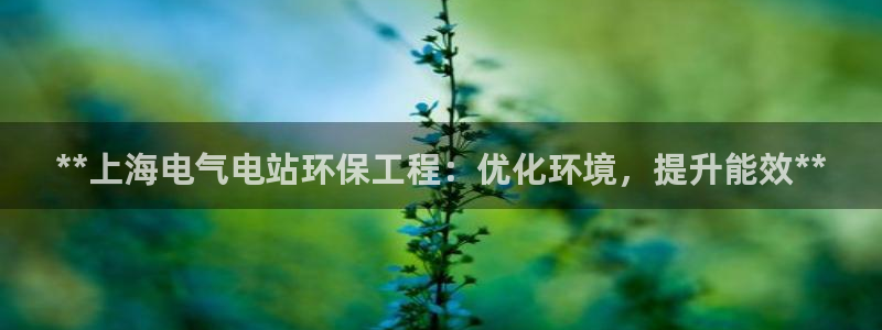 彩名堂首页：**上海电气电站环保工程