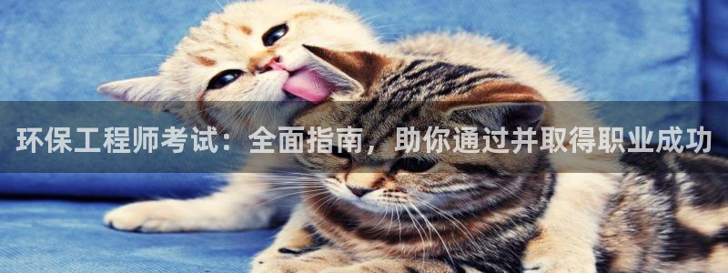 彩名堂01计划：环保工程师考试：全面