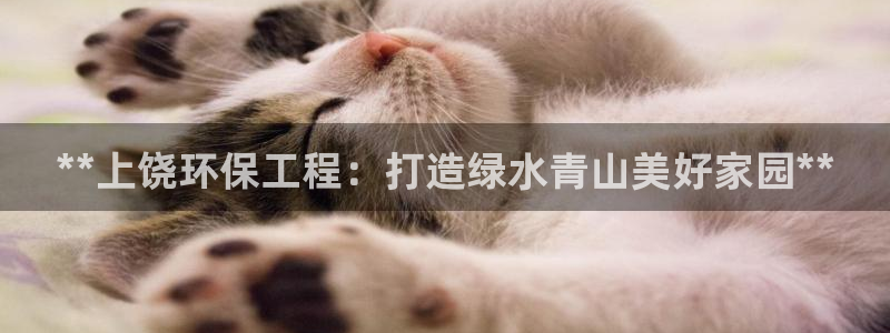 彩名堂计划怎么打不开了：**上饶环保