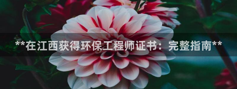 彩名堂一直不出结果怎么回事儿：**在