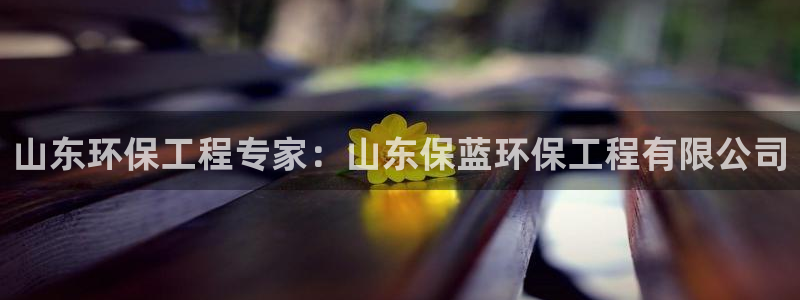 彩名堂最新版www：山东环保工程专家