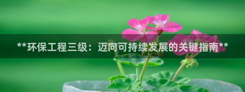 老版本彩名堂计划软件：**环保工程三