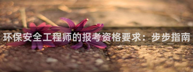 老版彩名堂：环保安全工程师的报考资格