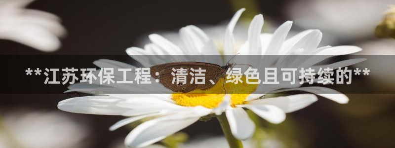 彩名堂计划怎么看：**江苏环保工程：
