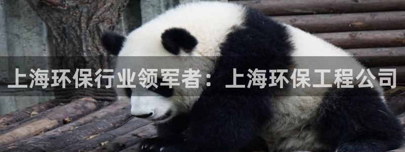 彩名堂安卓客户端官网：上海环保行业领