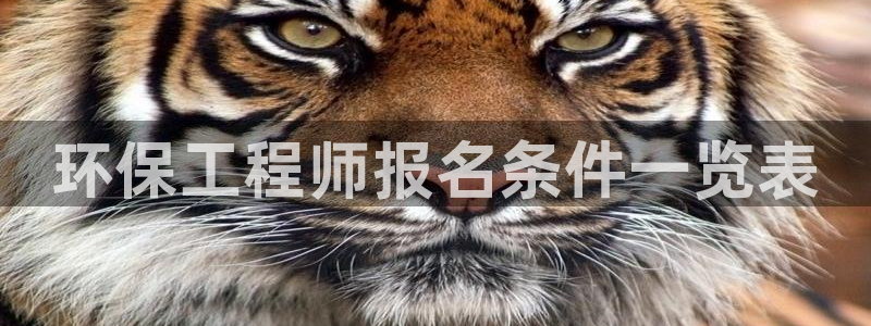 彩名堂彩：环保工程师报名条件一览表