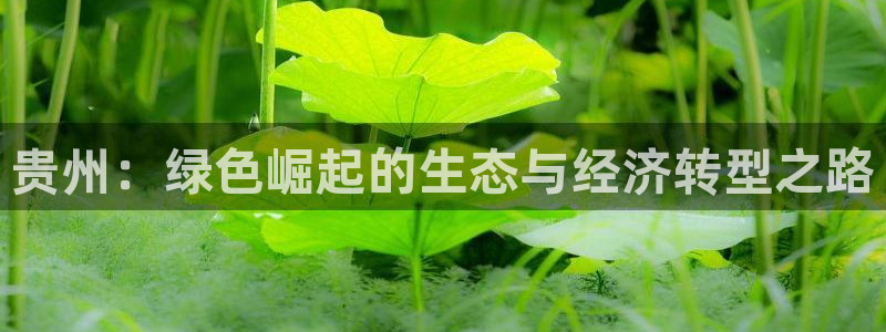 彩名堂官网计划01：贵州：绿色崛起的