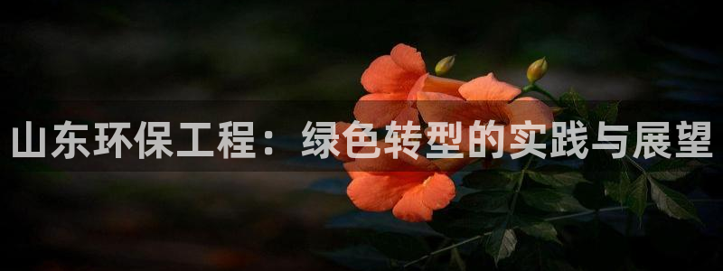 如何进入彩名堂官网更新