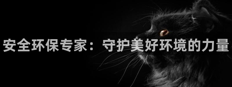 彩名堂手机版官网