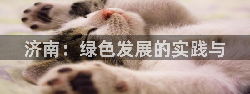 彩名堂50版本计划