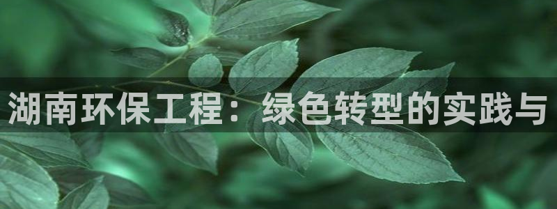 彩名堂改成什么名字了
