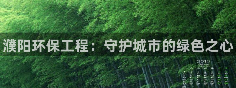 彩名堂跟哪种最好用：濮阳环保工程：守