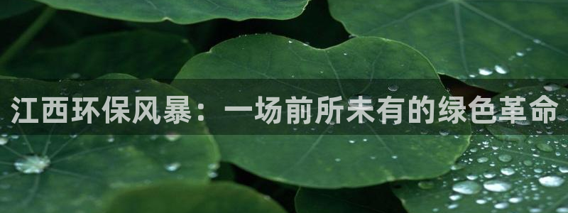 彩名堂5.0!：江西环保风暴：一场前所未有的绿色革命