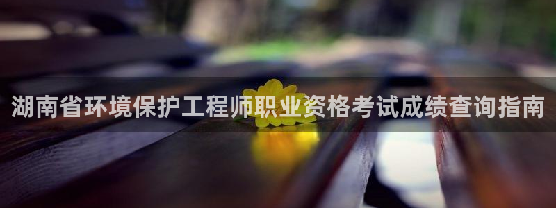 彩名堂手机客户端官网：湖南省环境保护工程师职业资格考试成绩查