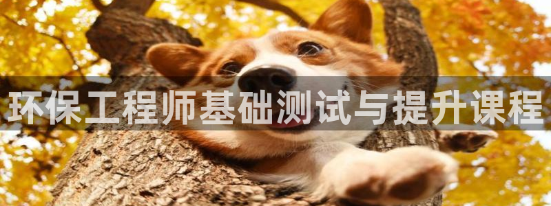 彩名堂为什么打不开：环保工程师基础测试与提升课程