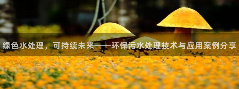 彩名堂01计划：绿色水处理，可持续未来——环保污水处理技术与
