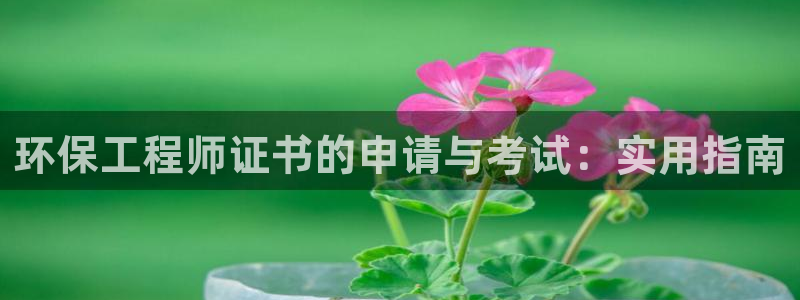 彩名堂最新免费计划官网：环保工程师证书的申请与考试：实用指南