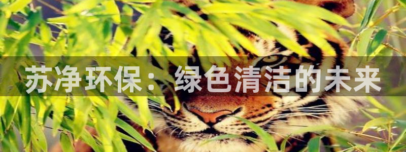 彩名堂计划怎么跟不挂：苏净环保：绿色