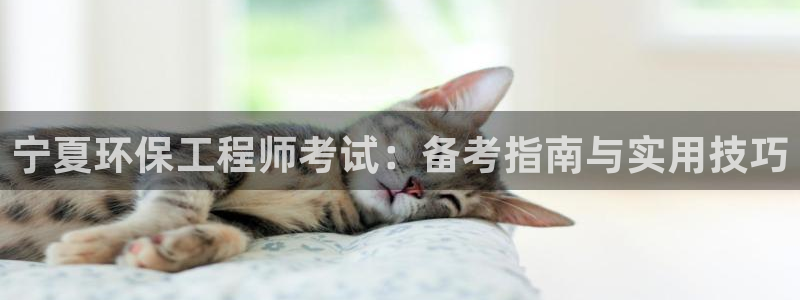 彩名堂计划官方客服：宁夏环保工程师考
