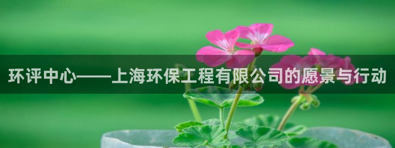 彩名堂下载官网：环评中心——上海环保
