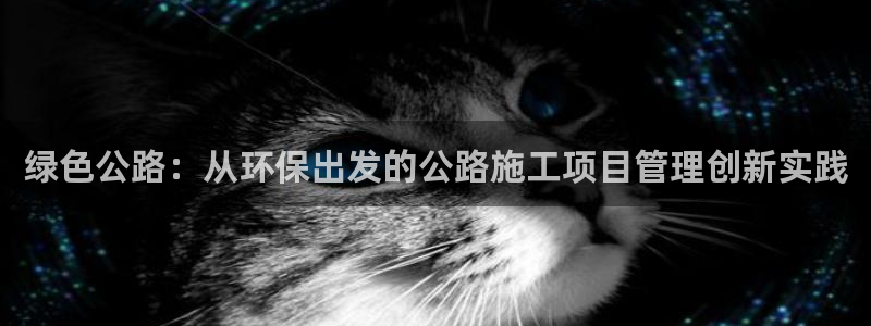 彩名堂移动客户端官网：绿色公路：从环保出发的公路施工项目管理