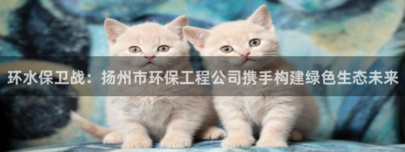 彩名堂一直不出结果怎么回事：环水保卫战：扬州市环保工程公司携