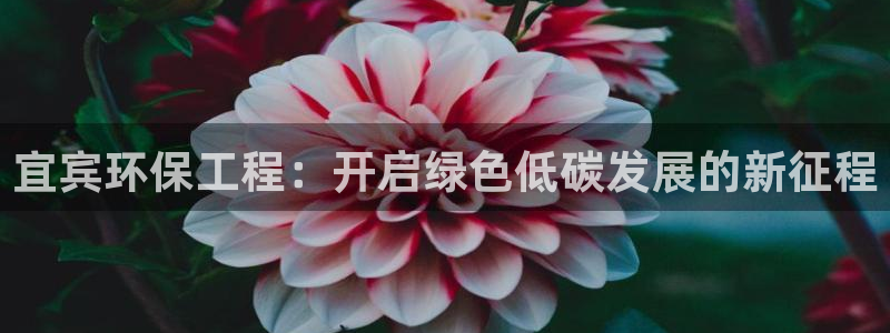 彩名堂.netnet：宜宾环保工程：开启绿色低碳发展的新征程