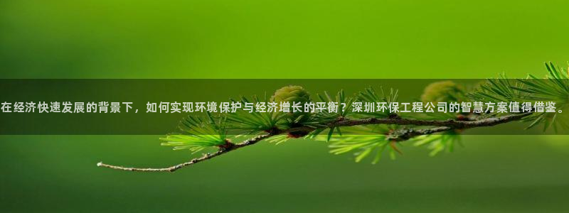 彩名堂预测免费计划：在经济快速发展的背景下，如何实现环境保护
