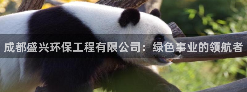 彩名堂为啥又不能用了：成都盛兴环保工程有限公司：绿色事业的领