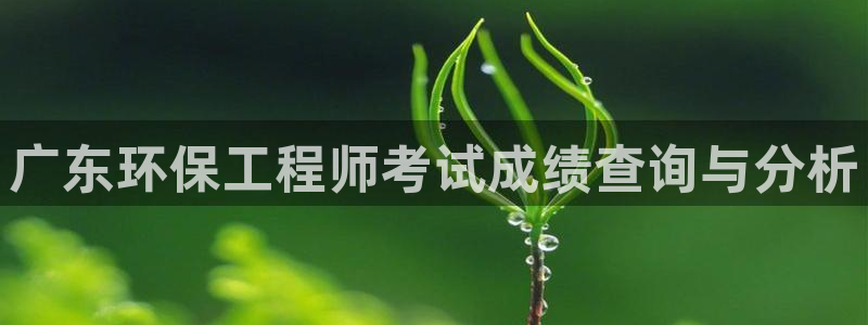 彩名堂计划最新版手机版：广东环保工程师考试成绩查询与分析