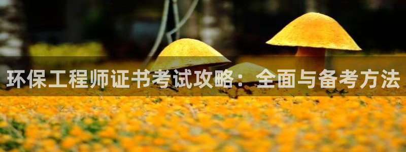 彩名堂app官方网：环保工程师证书考