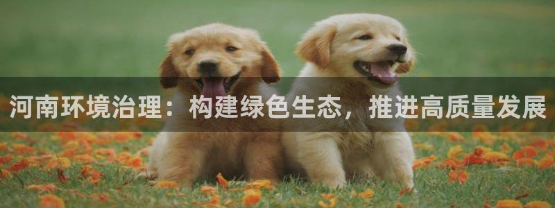 彩名堂最新版www：河南环境治理：构