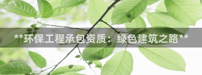 彩名堂怎么选稳定计划产品：**环保工