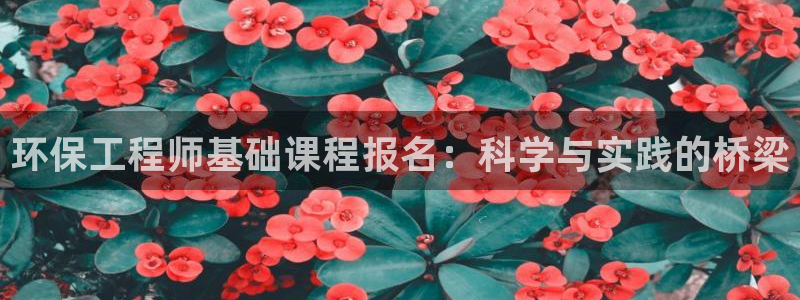 彩名堂还能用吗：环保工程师基础课程报