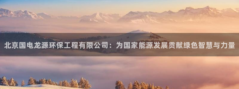 彩名堂双彩网：北京国电龙源环保工程有