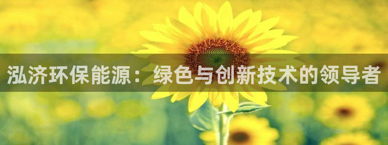 彩名堂免费计划官网5 0：泓济环保能