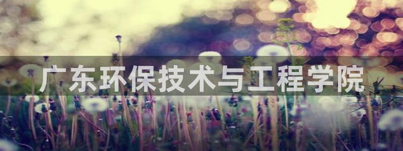 彩名堂官网在线计划：广东环保技术与工